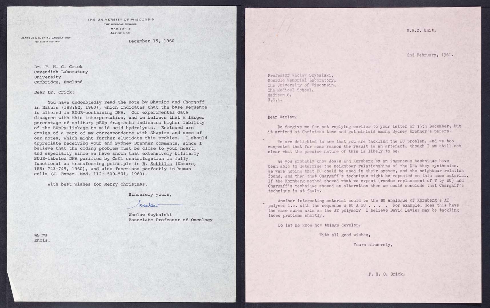 image of Letters between Waclaw Szybalski and Francis Crick regarding BUdR-containing DNA, 1960