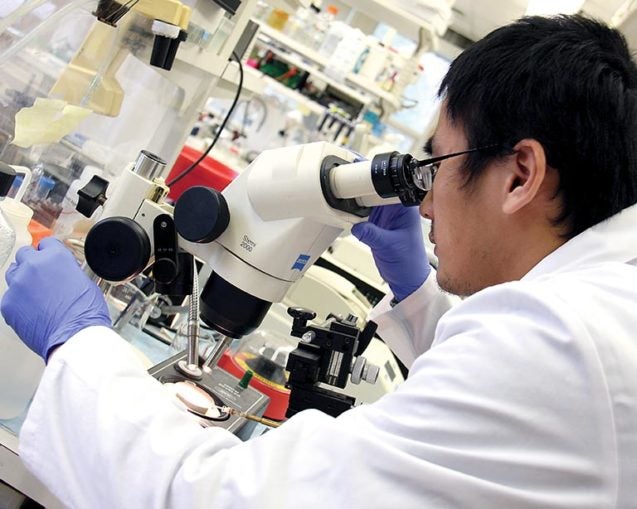 photo of a male scientist in a lab looking into a microscope