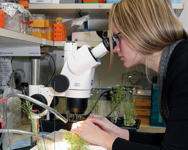 photo of a female scientist in a lab looking into a microscope