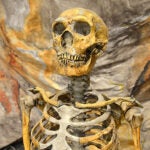 What DNA Says About Our Human Family, Episode I hero image