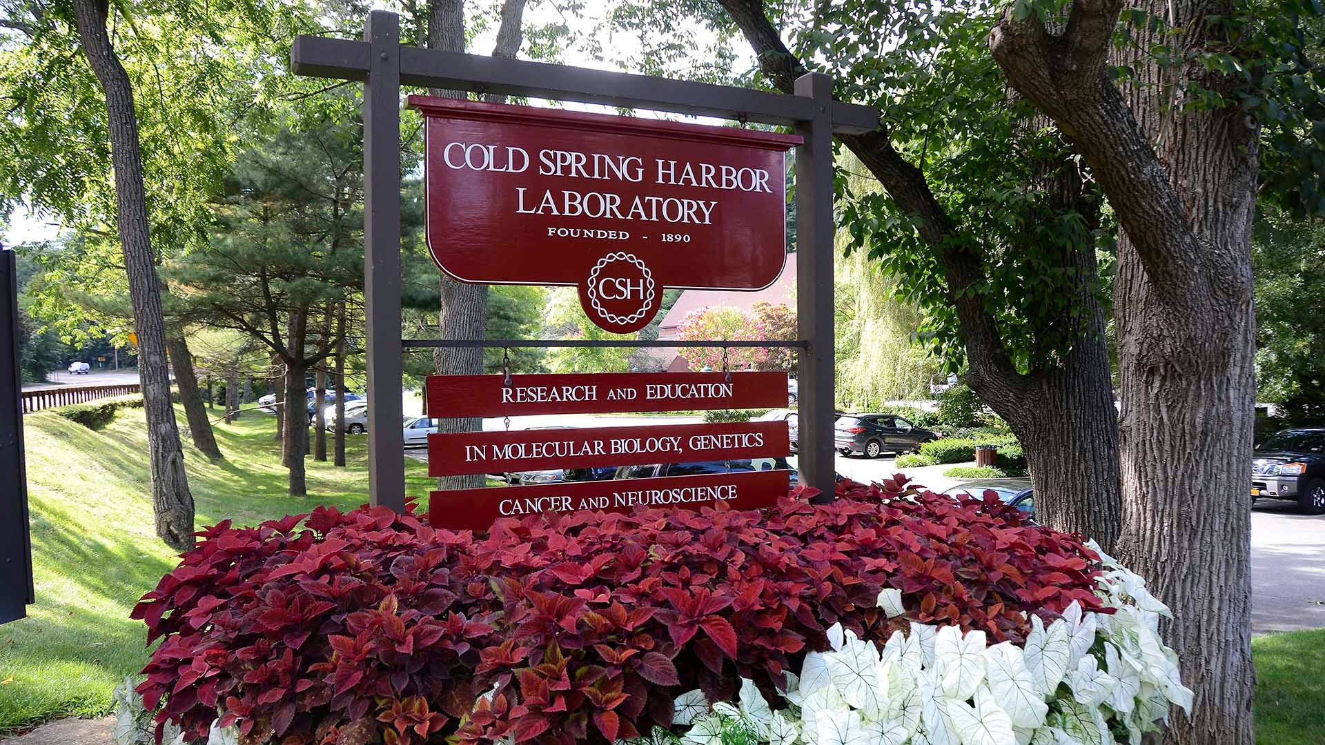 photo of CSHL entrance sign
