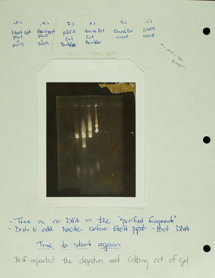 image of a page from the Carol Greider Collections