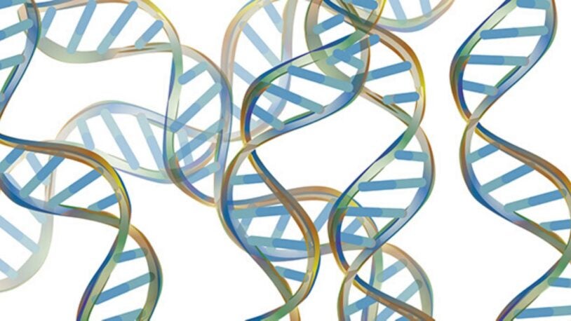 DNA Structure hero image
