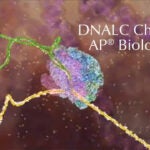 DNALC AP Bio Chat hero image