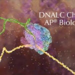 DNALC AP Bio Chat hero image