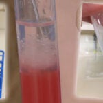 Wheat DNA extraction hero image