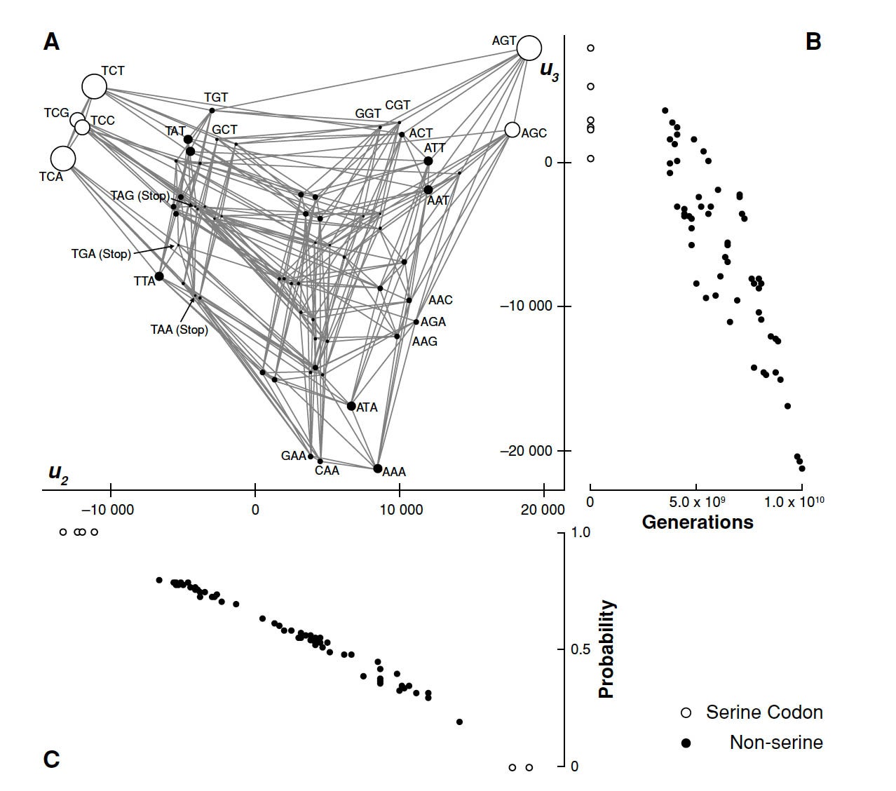 image of McCandlish paper from 2012 showing mutations that occur in species over generations