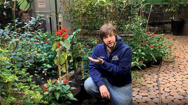 Zoology and conservation barcoding hero image