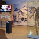 Otzi tour hero image