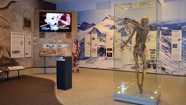 Otzi tour hero image