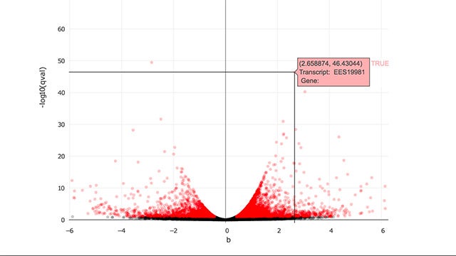 RNA Seq hero image