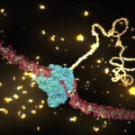 RNA Transcription hero image