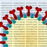 Tracking the pandemic with viral strains hero image