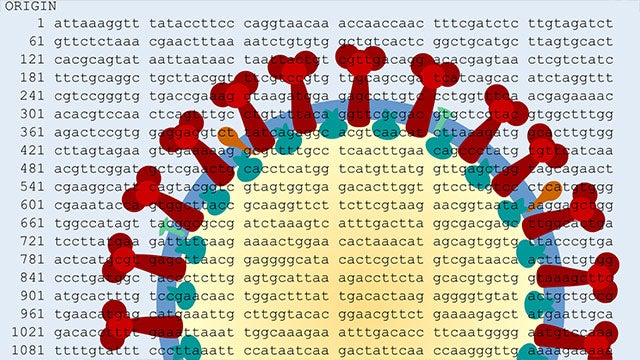 Tracking the pandemic with viral strains hero image