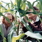 Barbara McClintock Corn Field hero image