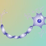 Neuron hero image