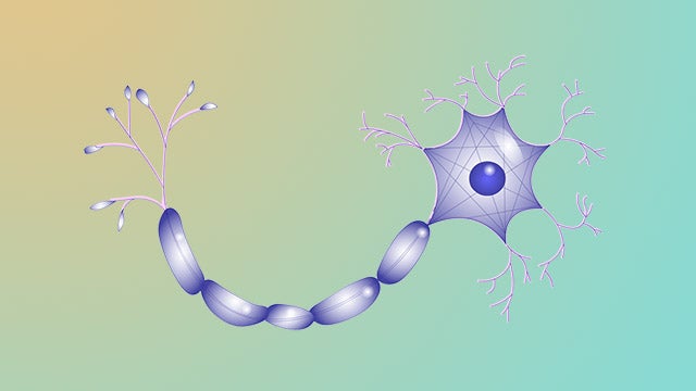 Neuron hero image