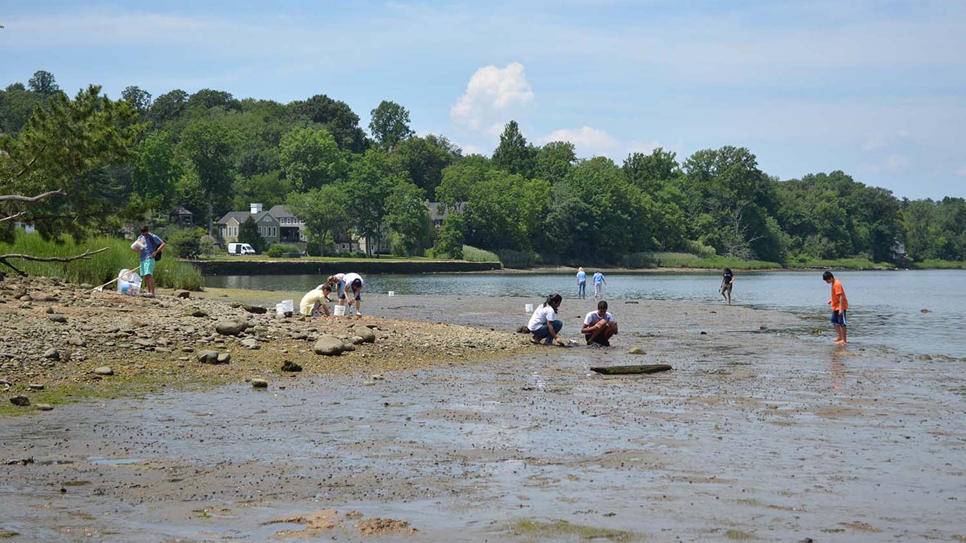 photo of DNA Learning Center students collecting specimens