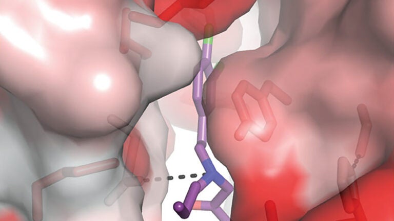 image of NMDA receptor binding with chemical compound