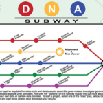 DNA Subway hero image