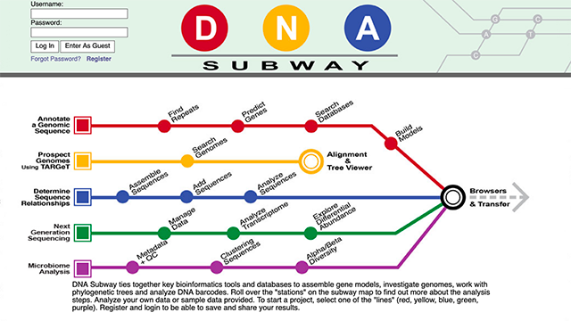 DNA Subway hero image