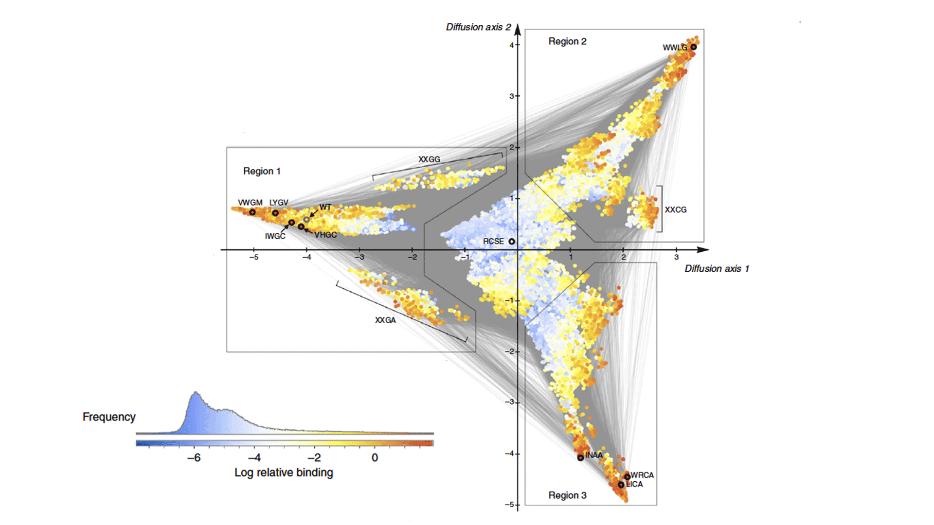 graphic of bacterial protein visualization represented as a triangular graph