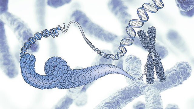 Genome tour hero image