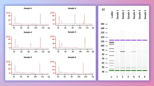 Forensic DNA Profiling hero image