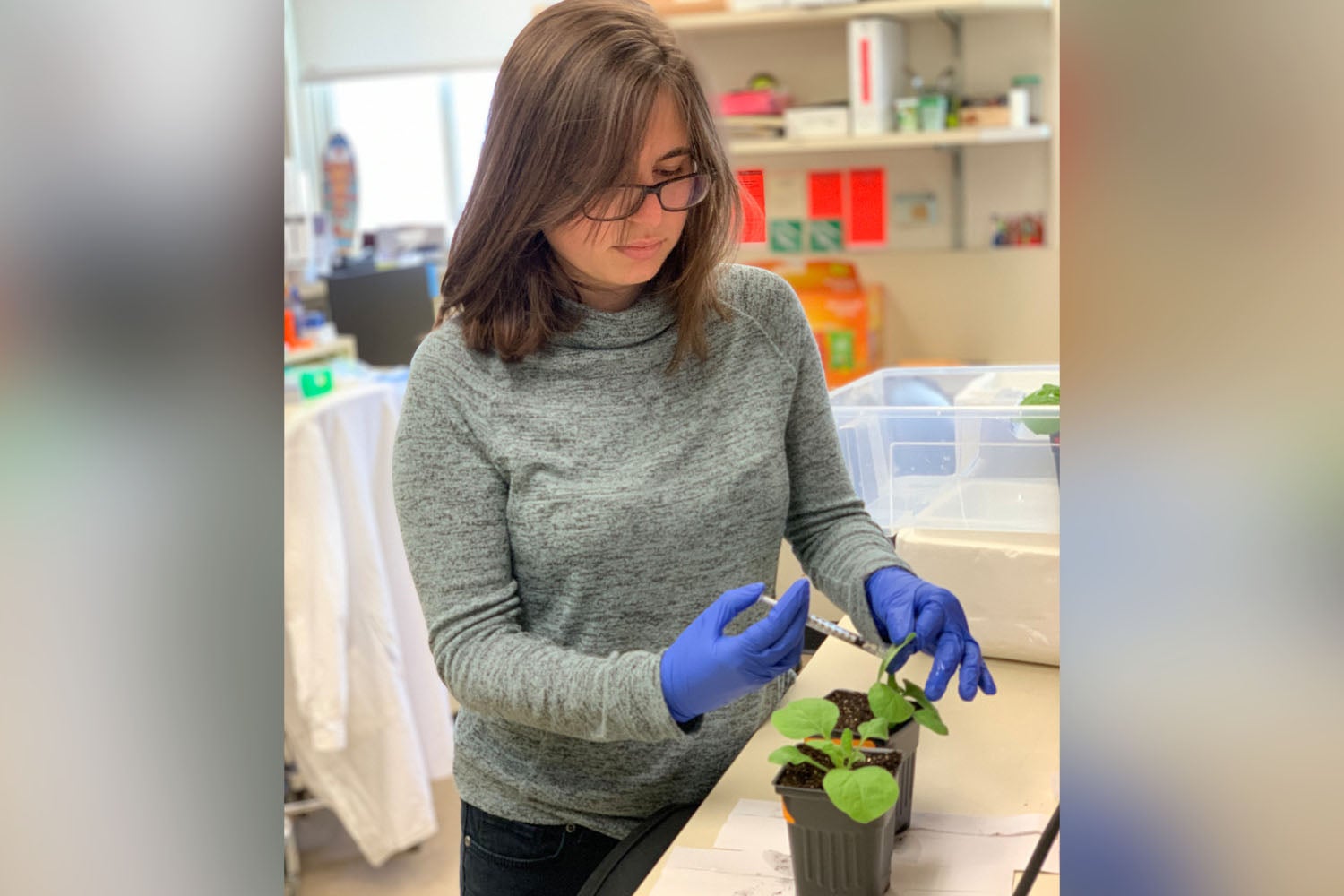 photo of Amanda Ackerman in lab