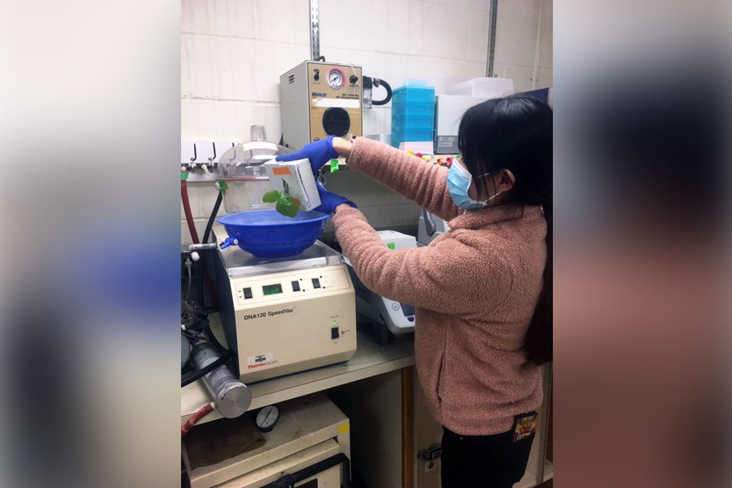 photo of Yinan Jian working on coronavirus protein project
