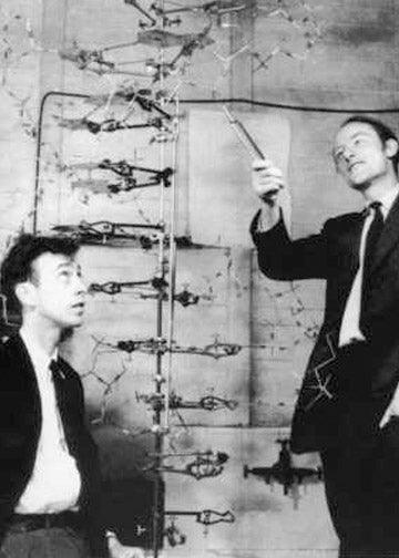 photo of Jim Watson and Francis Crick