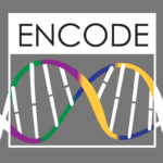 image of ENCODE project logo