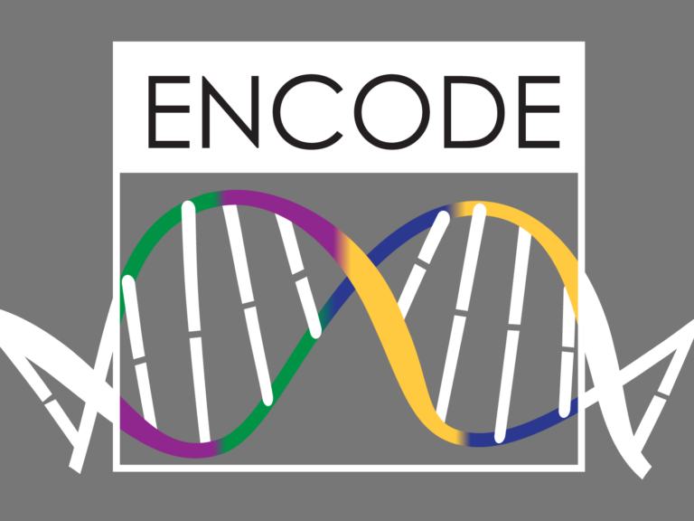 image of ENCODE project logo