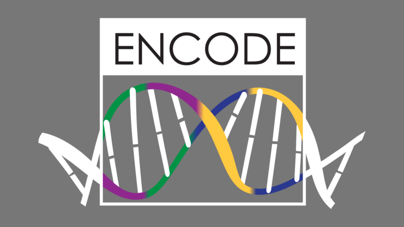 image of ENCODE project logo