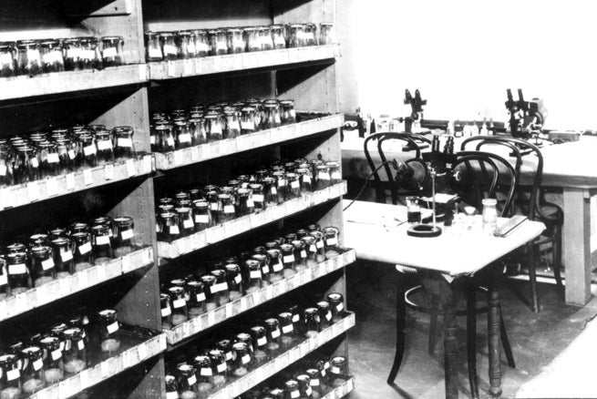 photo of Drosophila lab in Library