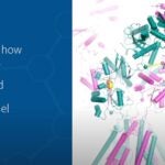 still image from Hiro Furukawa video that describes how the NMDA receptor opens and closes its ion channel
