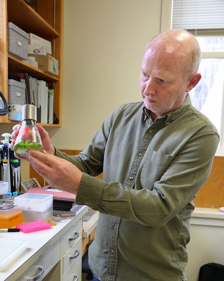 photo of Rob Martienssen in his lab