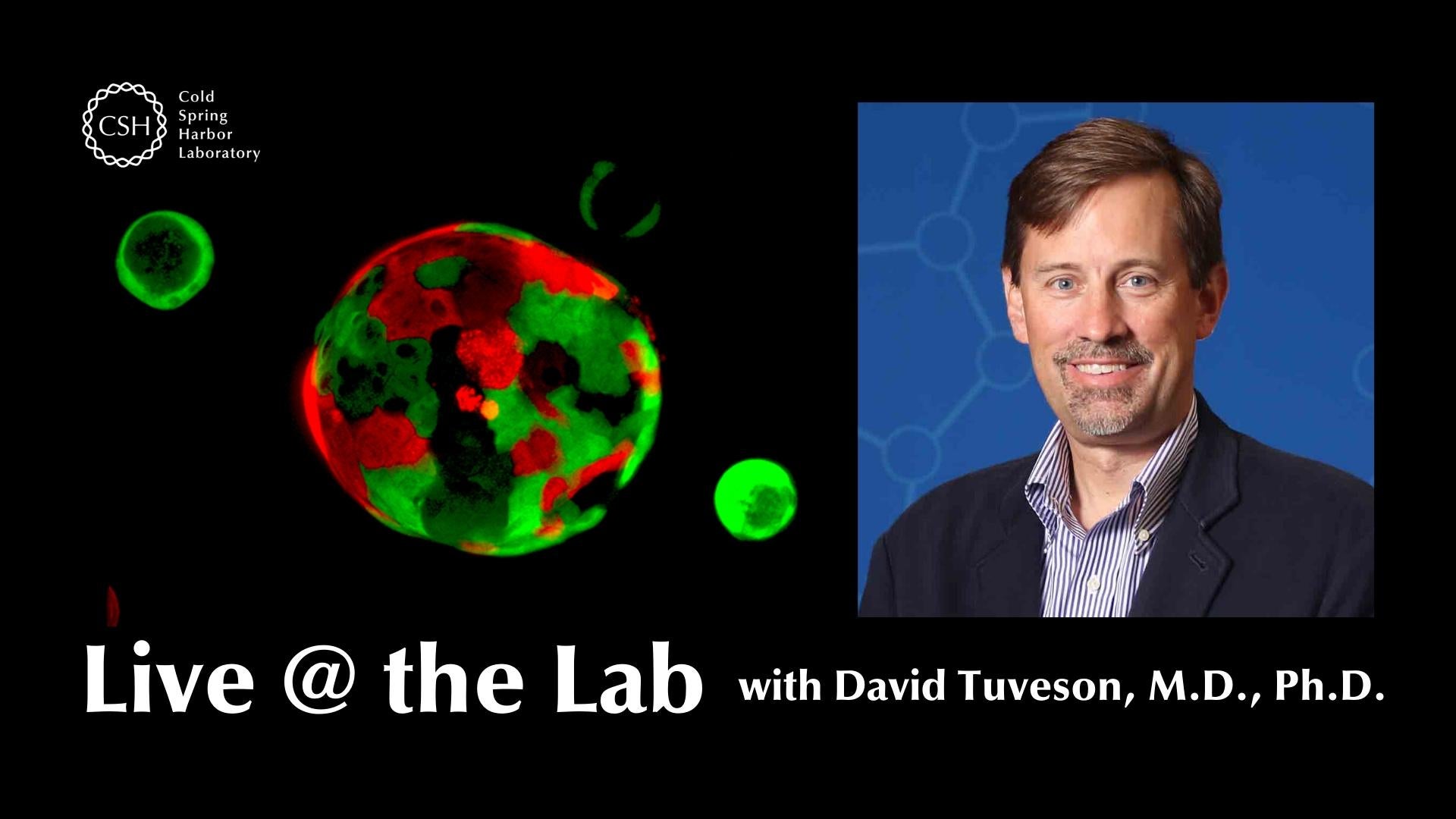 Hero image with organoid and Dr. David Tuveson for Live @ the Lab
