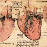 image of Leonardo da Vinci hearts