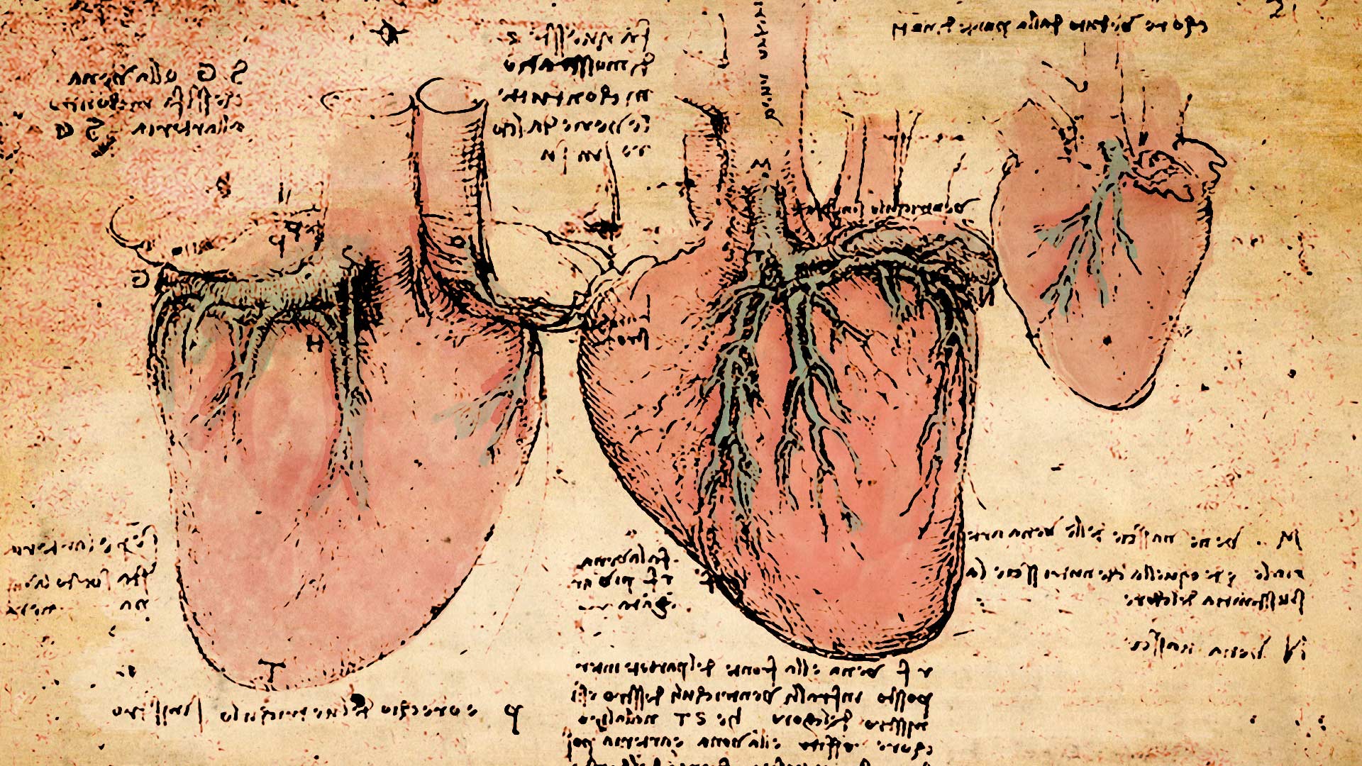 image of Leonardo da Vinci hearts