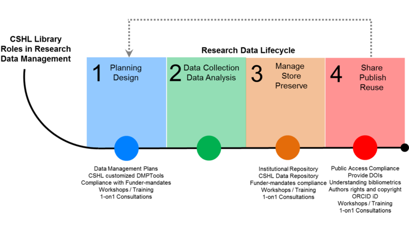 illustration of CSHL Library in research data management