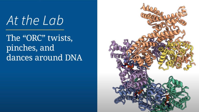 The “ORC” twists, pinches, and dances around DNA