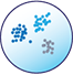 image of single-cell biology icon