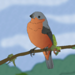 illustration of a South American capuchino seedeater