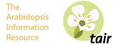 graphic of The Arabidopsis Information Resource logo