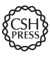CSHL Press logo