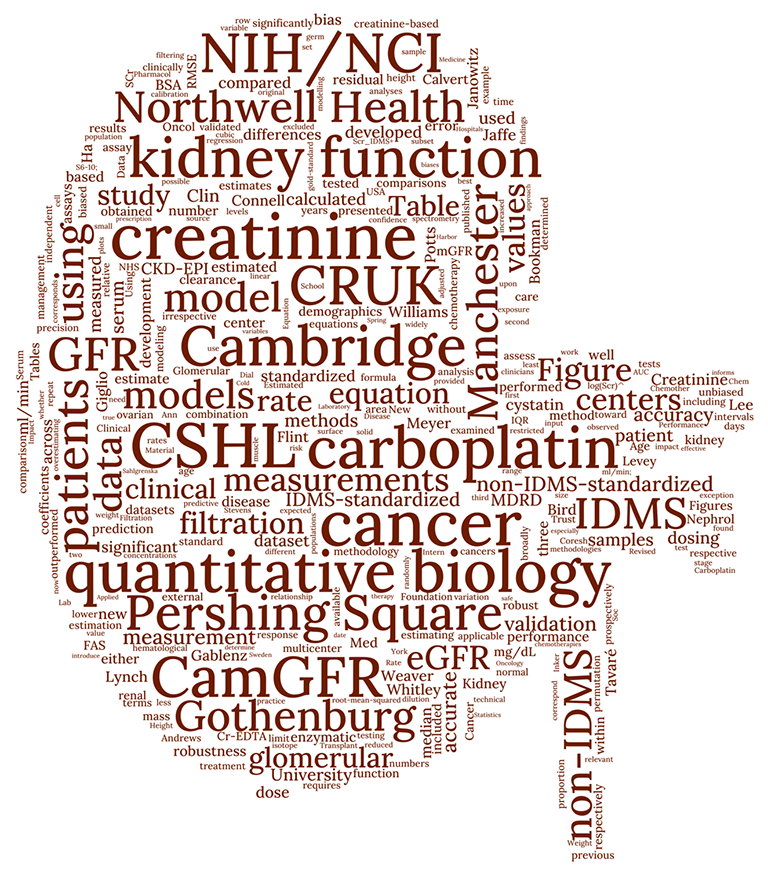 image of kidney word  cloud