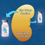 illustration of a kidney and drug bottles