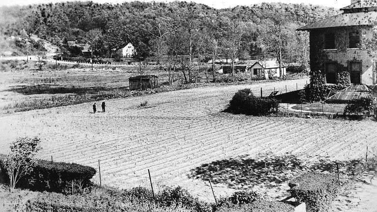 historic photo of Cold Spring Harbor Laboratory corn field