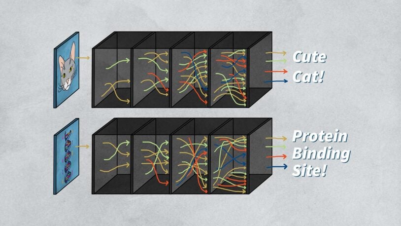 illustration of a neural network